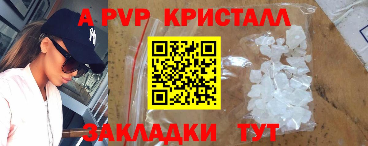 A PVP СК КРИС Гатчина