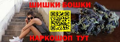соль ск Можга