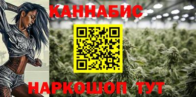 Альфа ПВП Можайск