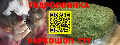 соль ск Можга