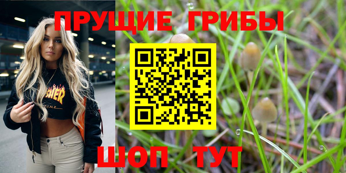 Псилоцибиновые грибы ЛСД Гатчина