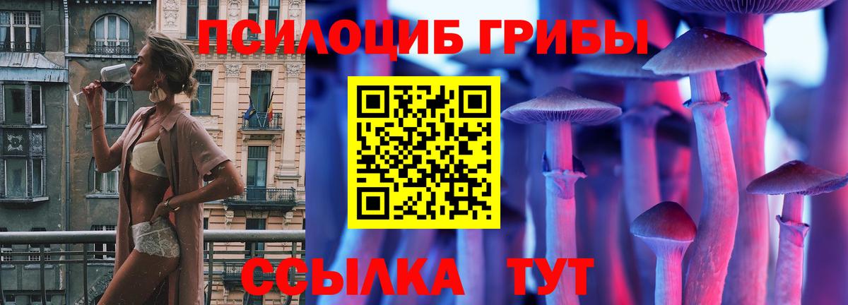 Гатчина  Псилоцибиновые грибы прущие грибы  Вход с VPN  Псилоцибиновые грибы прущие грибы 